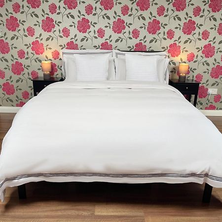 Entire Pinkapt - Free Parking - Up To 4 Guests - 3 Beds - Close To City Centre 贝尔法斯特 外观 照片