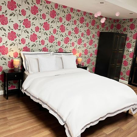 Entire Pinkapt - Free Parking - Up To 4 Guests - 3 Beds - Close To City Centre 贝尔法斯特 外观 照片